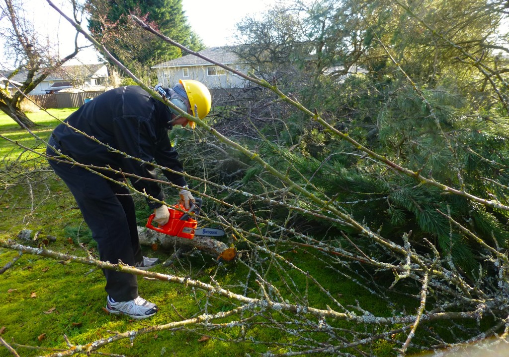 Harold Cutting Wood